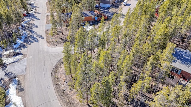 12 Imogene Cir, Leadville, CO 80461 - photo 4