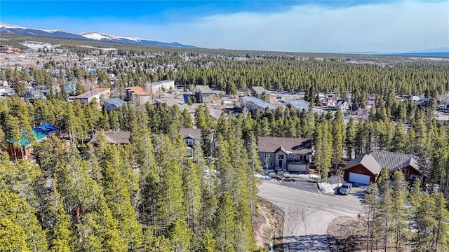 12 Imogene Cir, Leadville, CO 80461 - photo 6