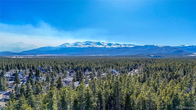 12 Imogene Cir, Leadville, CO 80461 - photo 7