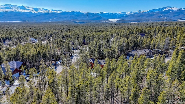 12 Imogene Cir, Leadville, CO 80461 - photo 8