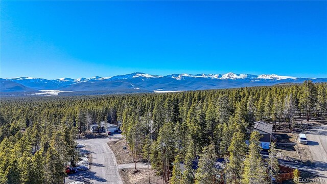 12 Imogene Cir, Leadville, CO 80461 - photo 9