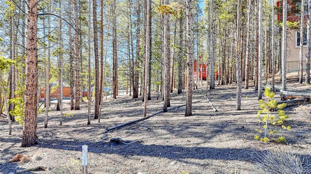 12 Imogene Cir, Leadville, CO 80461 - photo 10