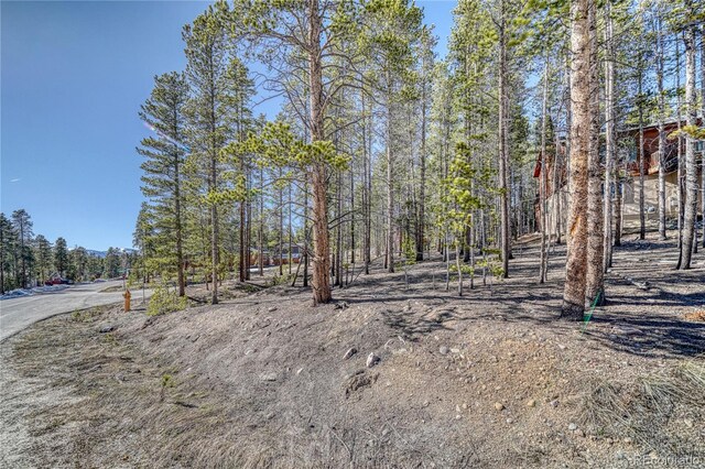 12 Imogene Cir, Leadville, CO 80461 - photo 11