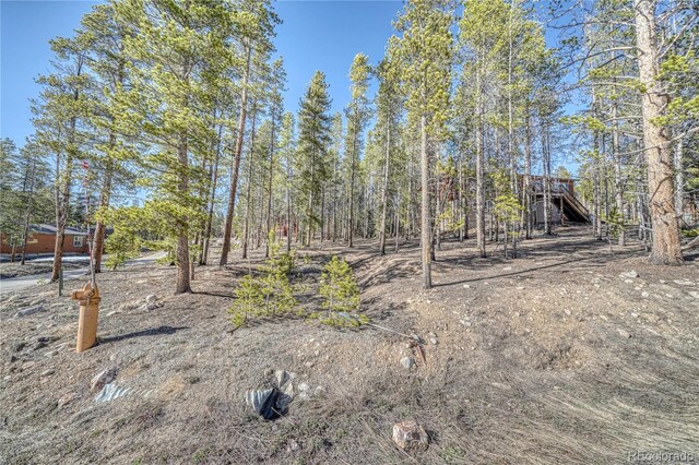 12 Imogene Cir, Leadville, CO 80461 - photo 12