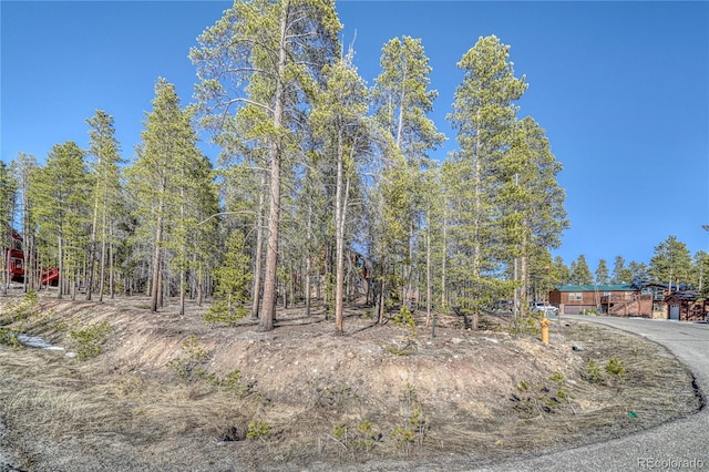 12 Imogene Cir, Leadville, CO 80461 - photo 13