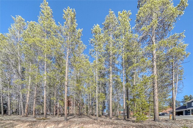 12 Imogene Cir, Leadville, CO 80461 - photo 14