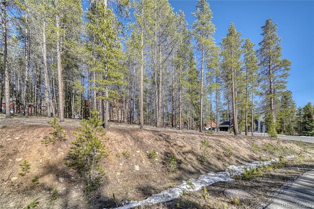 12 Imogene Cir, Leadville, CO 80461 - photo 15