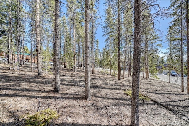 12 Imogene Cir, Leadville, CO 80461 - photo 16