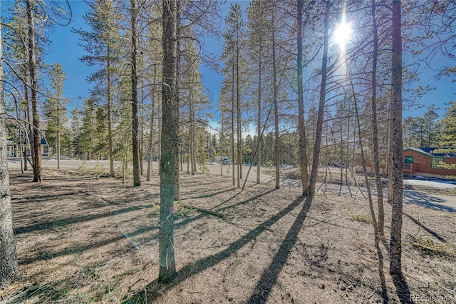 12 Imogene Cir, Leadville, CO 80461 - photo 17
