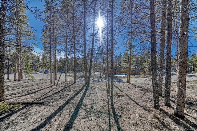 12 Imogene Cir, Leadville, CO 80461 - photo 18
