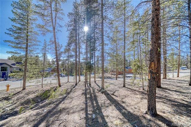 12 Imogene Cir, Leadville, CO 80461 - photo 19