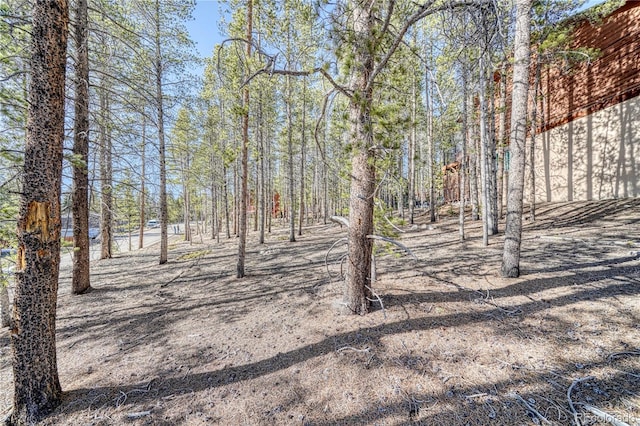 12 Imogene Cir, Leadville, CO 80461 - photo 20