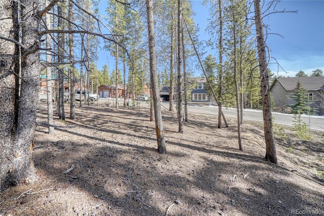 12 Imogene Cir, Leadville, CO 80461 - photo 21