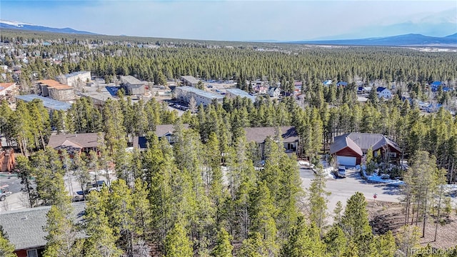 12 Imogene Cir, Leadville, CO 80461 - photo 22