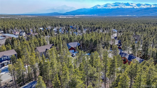 12 Imogene Cir, Leadville, CO 80461 - photo 23