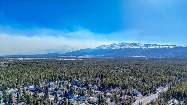 12 Imogene Cir, Leadville, CO 80461 - photo 24