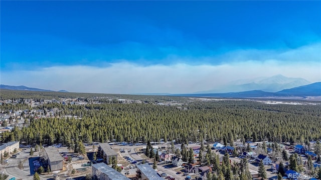 12 Imogene Cir, Leadville, CO 80461 - photo 25