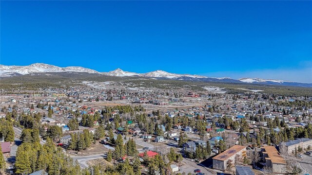 12 Imogene Cir, Leadville, CO 80461 - photo 26