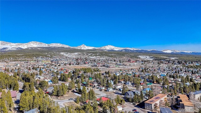 12 Imogene Cir, Leadville, CO 80461 - photo 27