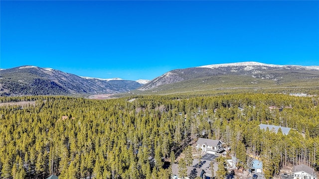 12 Imogene Cir, Leadville, CO 80461 - photo 28