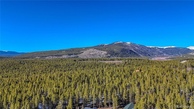 12 Imogene Cir, Leadville, CO 80461 - photo 29