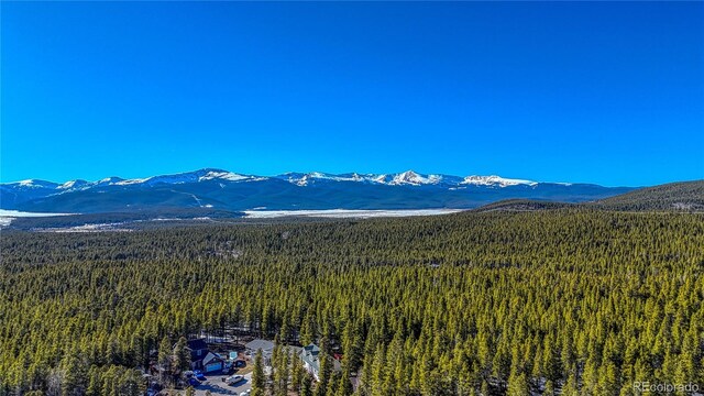 12 Imogene Cir, Leadville, CO 80461 - photo 30