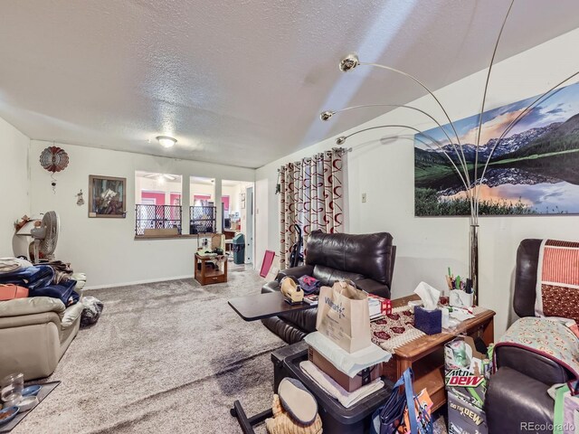 11882 Irma Dr, Northglenn, CO 80233 - photo 13