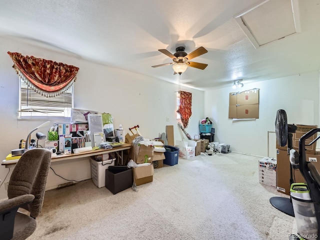 11882 Irma Dr, Northglenn, CO 80233 - photo 15