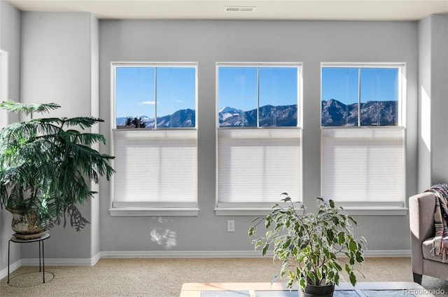 14702 Air Garden Ln, Colorado Springs, CO 80921 - photo 14
