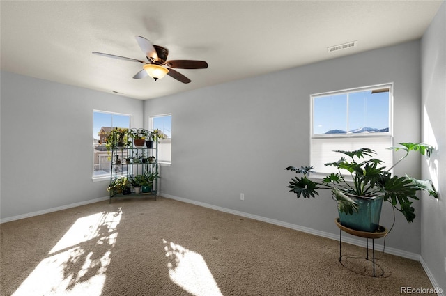 14702 Air Garden Ln, Colorado Springs, CO 80921 - photo 23
