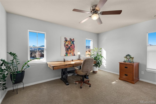 14702 Air Garden Ln, Colorado Springs, CO 80921 - photo 33