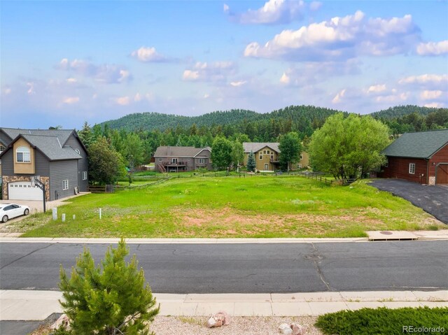 415 Gray Horse Cir, Woodland Park, CO 80863 - photo 2