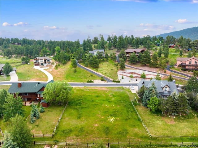 415 Gray Horse Cir, Woodland Park, CO 80863 - photo 4