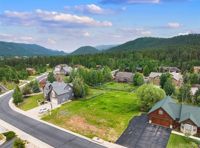 415 Gray Horse Cir, Woodland Park, CO 80863 - photo 5