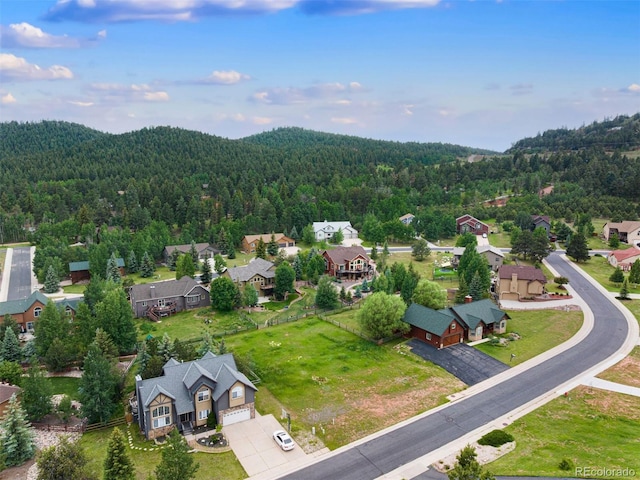 415 Gray Horse Cir, Woodland Park, CO 80863 - photo 6