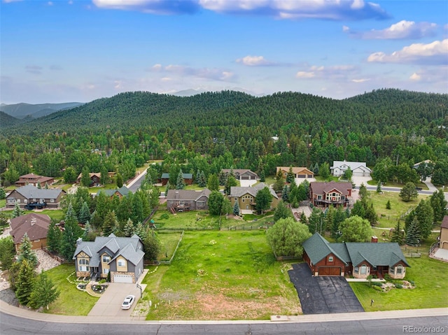 415 Gray Horse Cir, Woodland Park, CO 80863 - photo 8