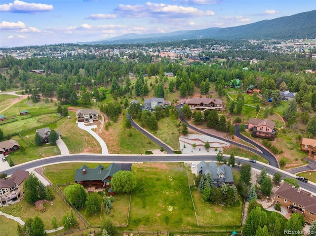 415 Gray Horse Cir, Woodland Park, CO 80863 - photo 12