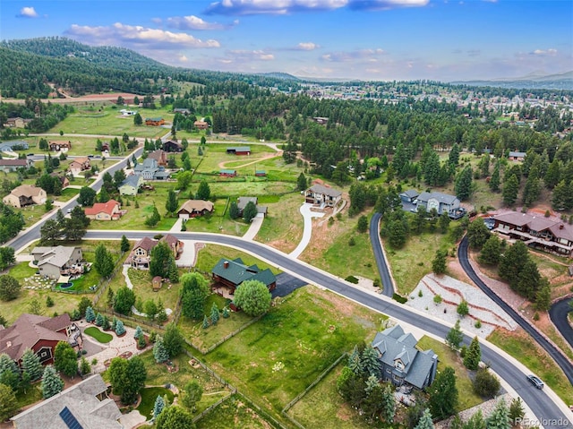 415 Gray Horse Cir, Woodland Park, CO 80863 - photo 13