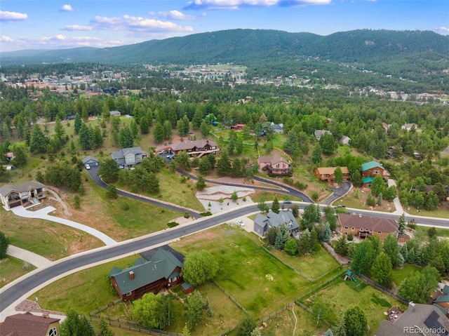 415 Gray Horse Cir, Woodland Park, CO 80863 - photo 14