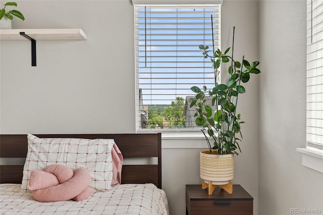 5396 Quail St, Wheat Ridge, CO 80033 - view of bedroom