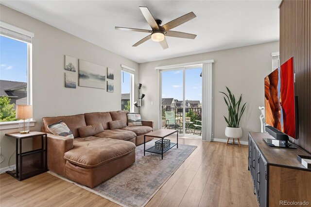 5396 Quail St, Wheat Ridge, CO 80033 - living room with ceiling fan and light wood-style floors