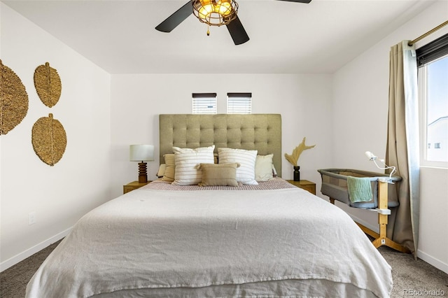 5784 Tramore, Colorado Springs, CO 80938 - photo 9