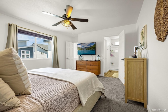 5784 Tramore, Colorado Springs, CO 80938 - photo 11
