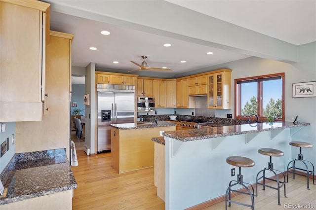 12421 High Country Trl, Littleton, CO 80127 - kitchen with appliances with stainless steel finishes, a peninsula, recessed lighting, light wood-style floors, and dark stone counters