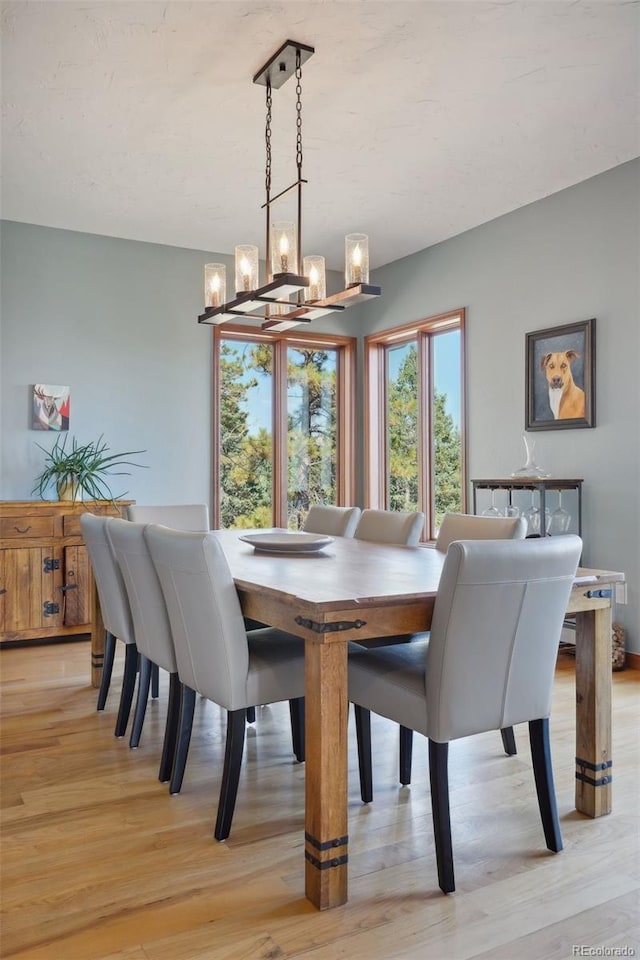 dining space with a chandelier and light hardwood / wood-style floors