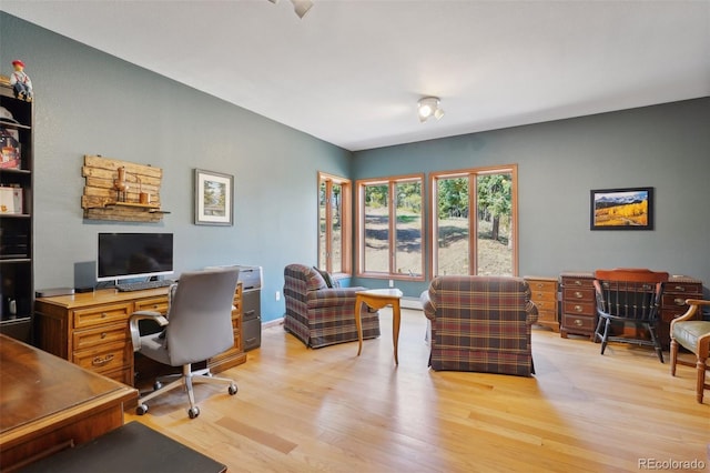 office featuring a baseboard radiator and light hardwood / wood-style flooring