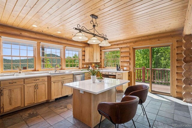 15690 Cochise Trl, Pine, CO 80470 - photo 5