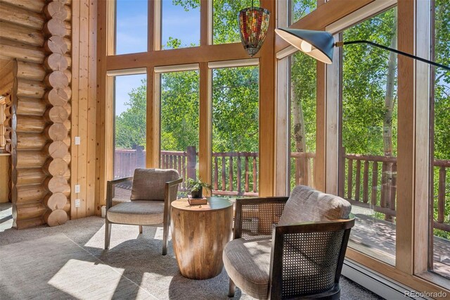 15690 Cochise Trl, Pine, CO 80470 - photo 9
