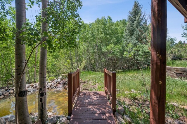 15690 Cochise Trl, Pine, CO 80470 - photo 29