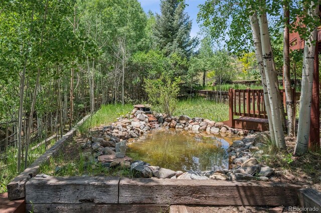 15690 Cochise Trl, Pine, CO 80470 - photo 35